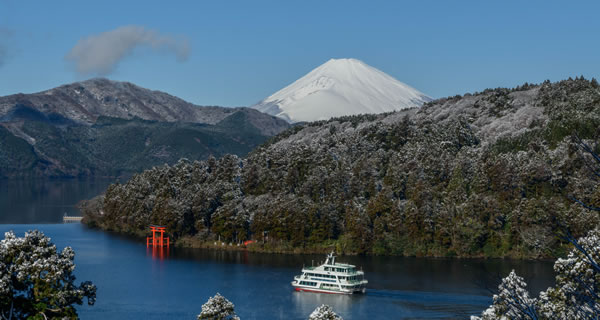 画像：富士山・箱根観光